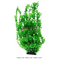 Aquascaper Aquarium Plant Bacopa Moneri Large